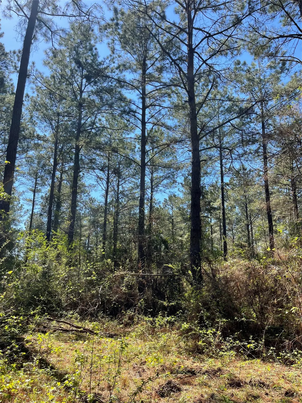 Providence Private Lane Frierson, LA 71027
