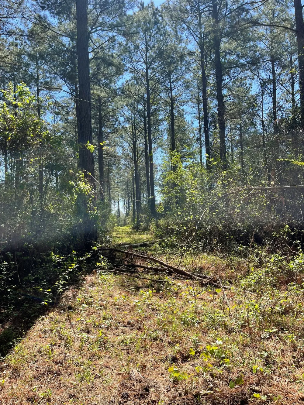 Providence Private Lane Frierson, LA 71027