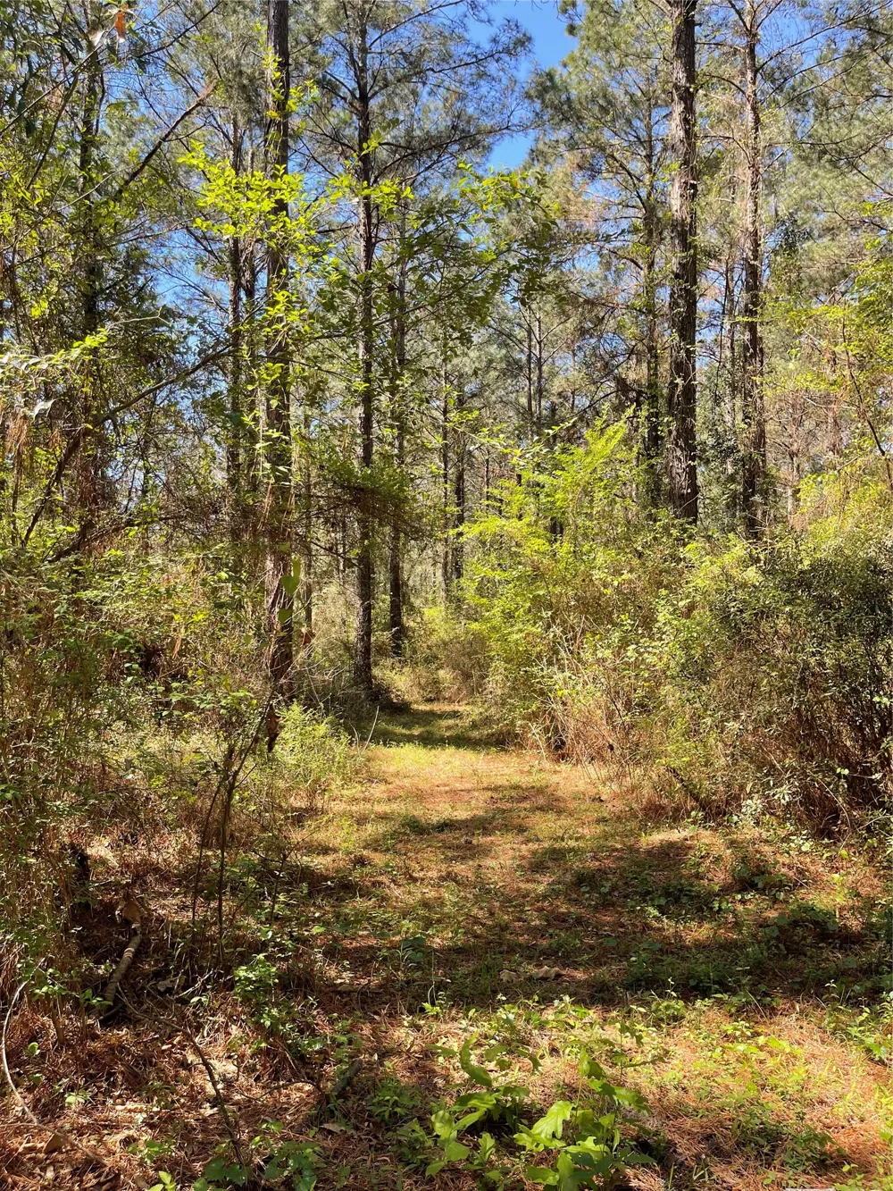 Providence Private Lane Frierson, LA 71027
