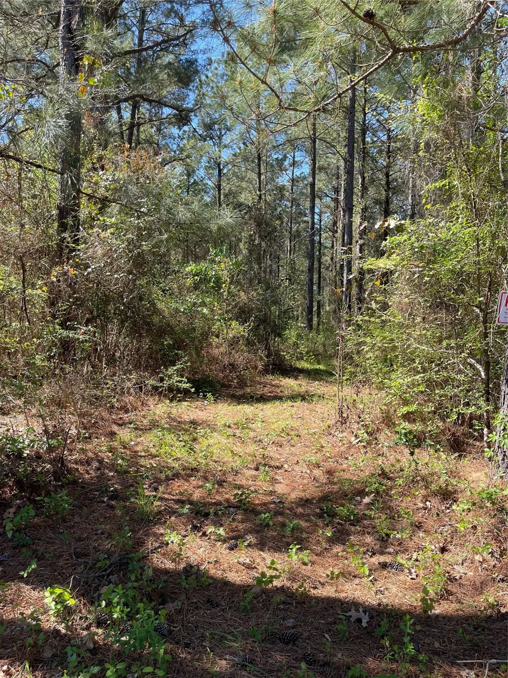 Providence Private Lane Frierson, LA 71027