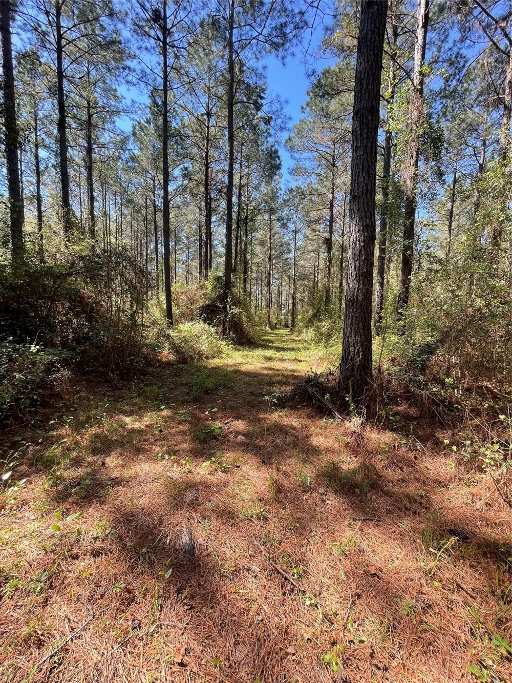 Providence Private Lane Frierson, LA 71027