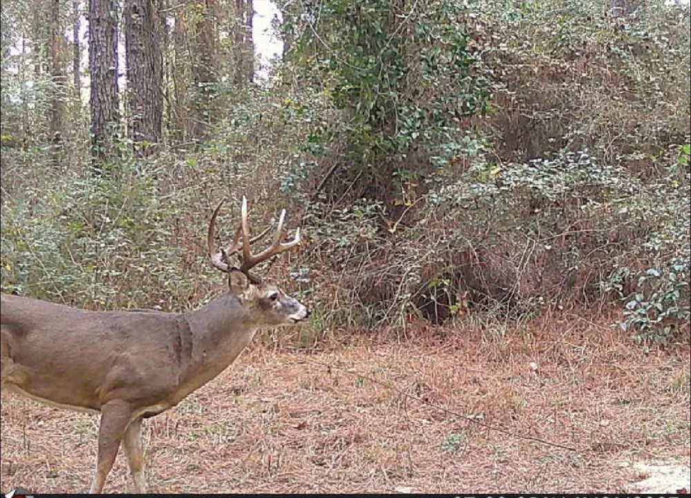 Providence Private Lane Frierson, LA 71027