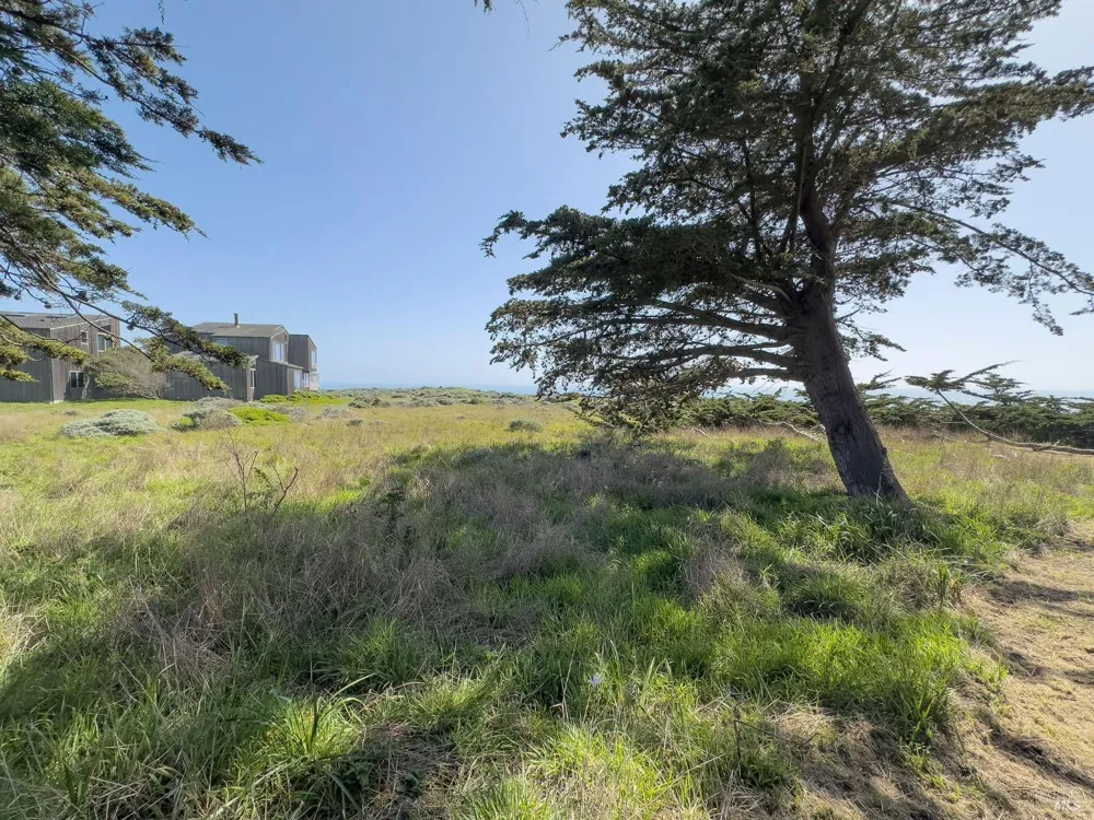 42179 Rock Cod The Sea Ranch, CA 95497