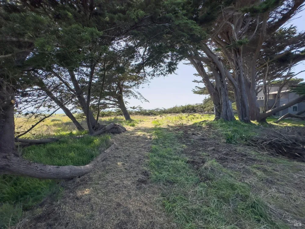 42179 Rock Cod The Sea Ranch, CA 95497