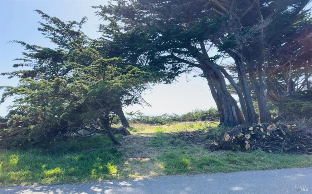 42179 Rock Cod The Sea Ranch, CA 95497