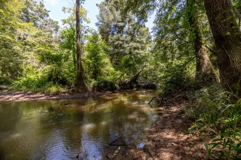 1255 Lee Turner Road Road