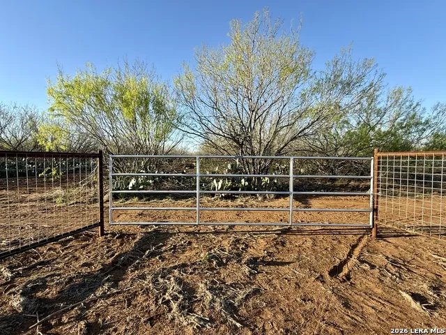 2175 county road 332 Charlotte, TX 78011