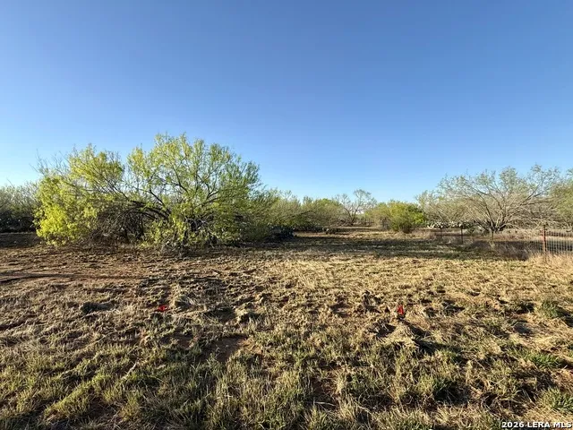 2175 county road 332 Charlotte, TX 78011