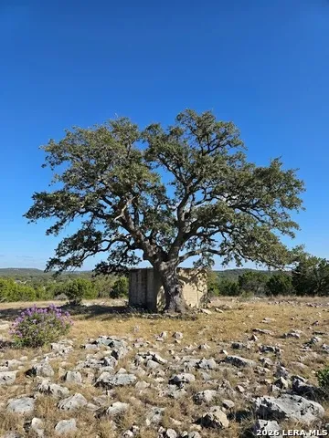 1518 Sd 54500 Rocksprings, TX 78880