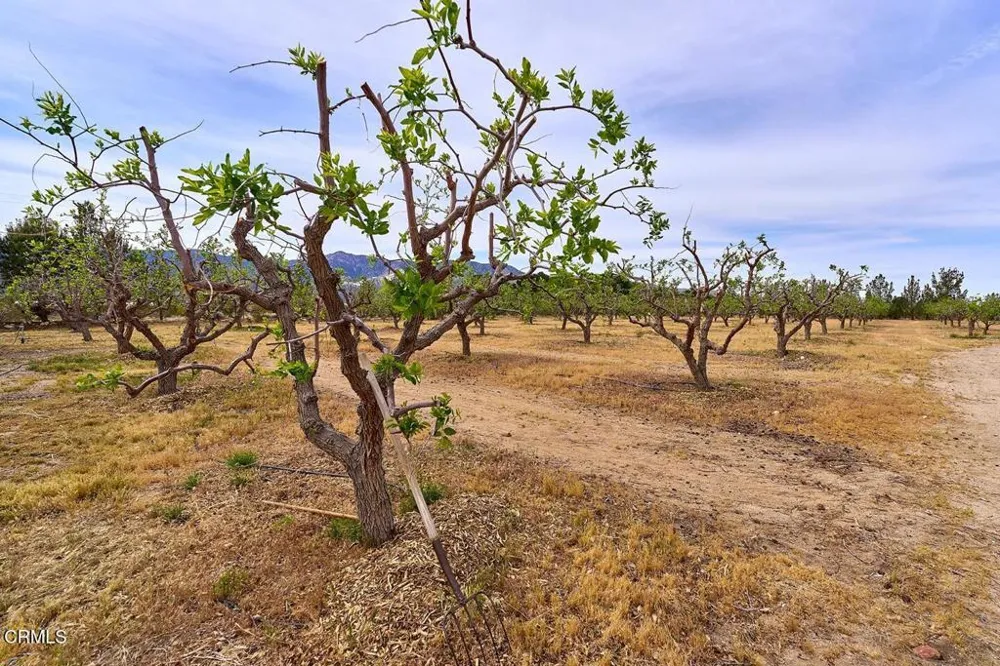 9494 Baker Road Lucerne Valley, CA 92356