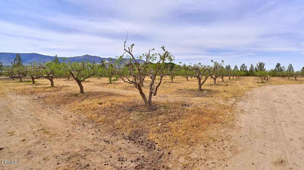 9494 Baker Road Lucerne Valley, CA 92356