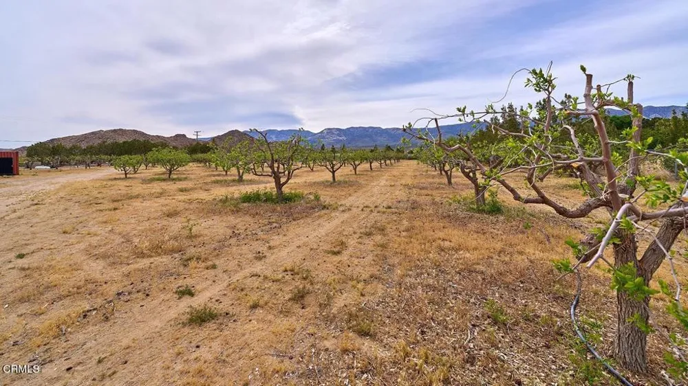 9494 Baker Road Lucerne Valley, CA 92356