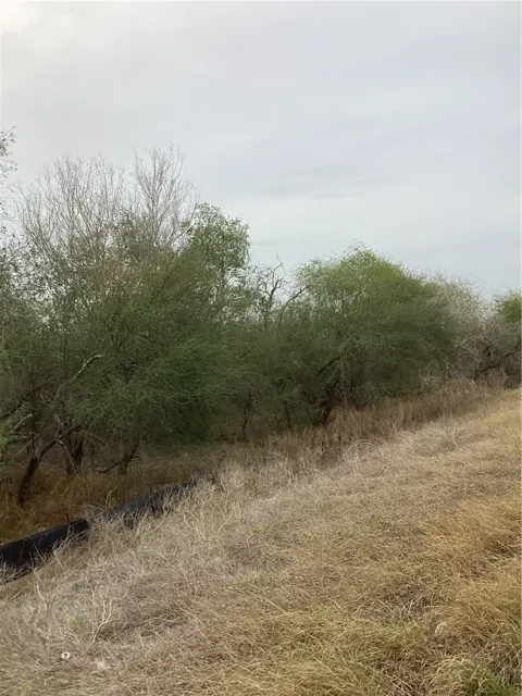 1 Highway 281 Bypass