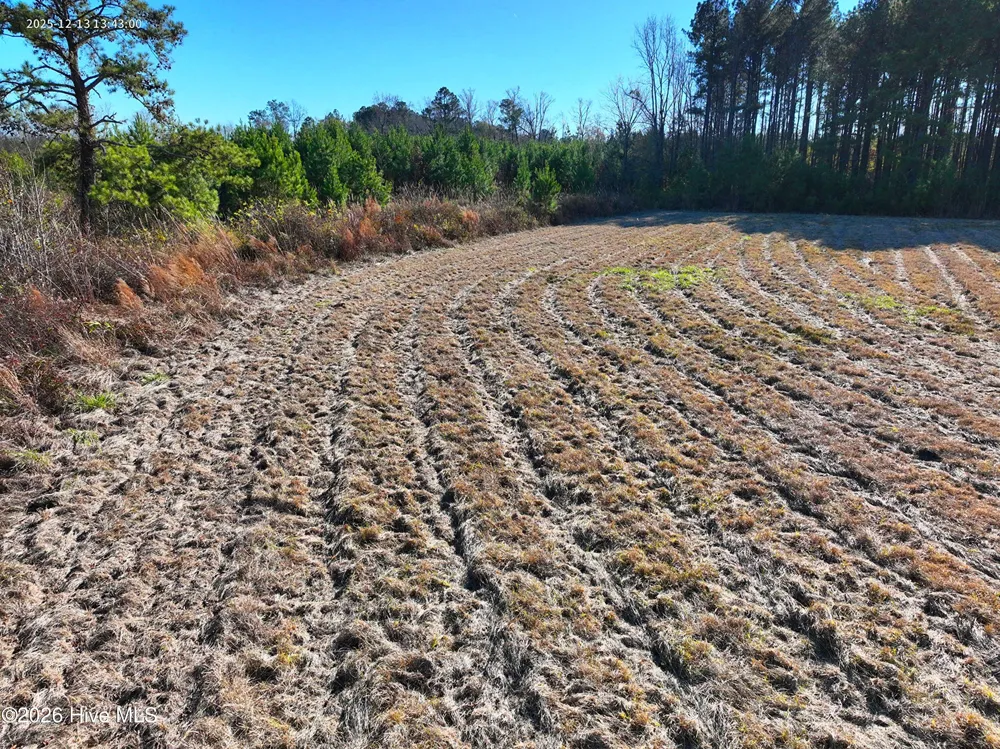 15.63 Croomsbridge Road Burgaw, NC 28425