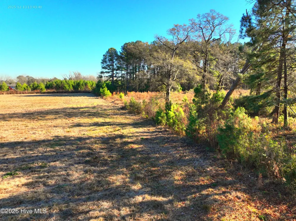 15.63 Croomsbridge Road Burgaw, NC 28425
