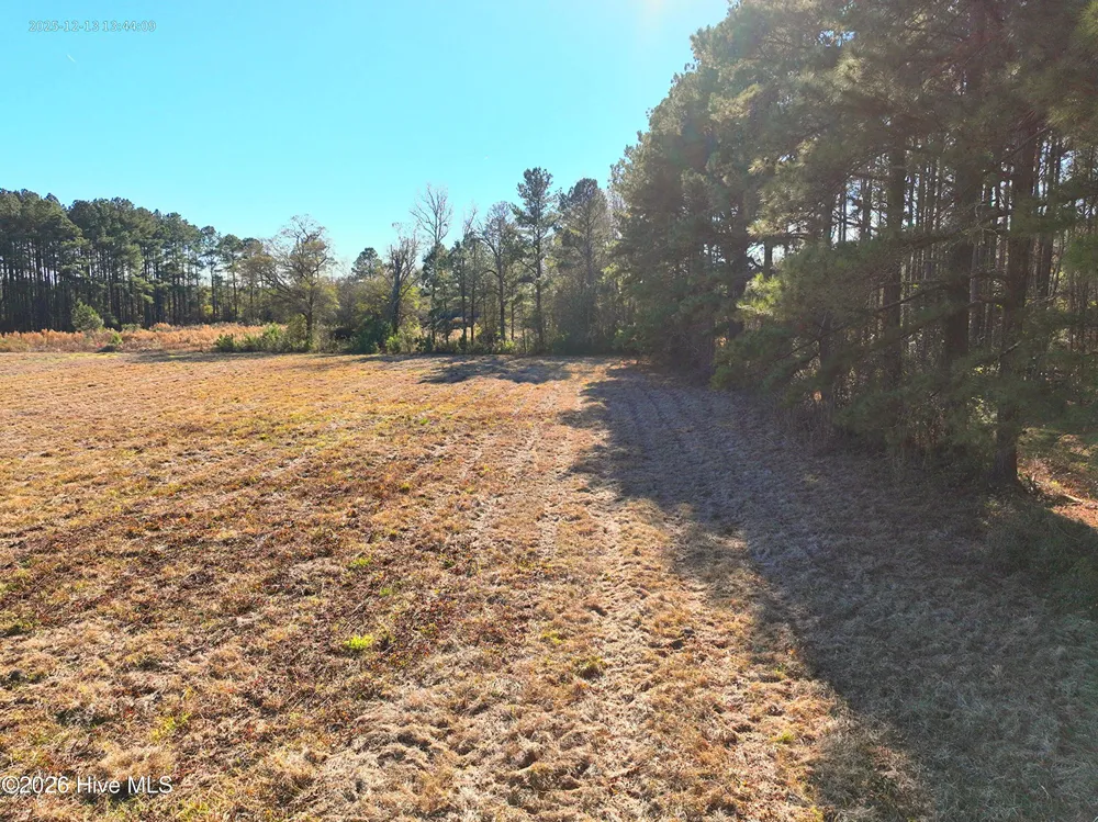 15.63 Croomsbridge Road Burgaw, NC 28425