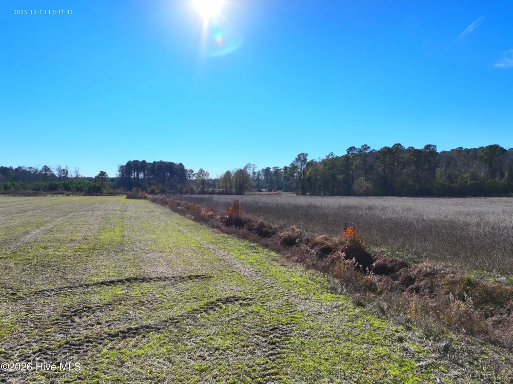 15.63 Croomsbridge Road Burgaw, NC 28425