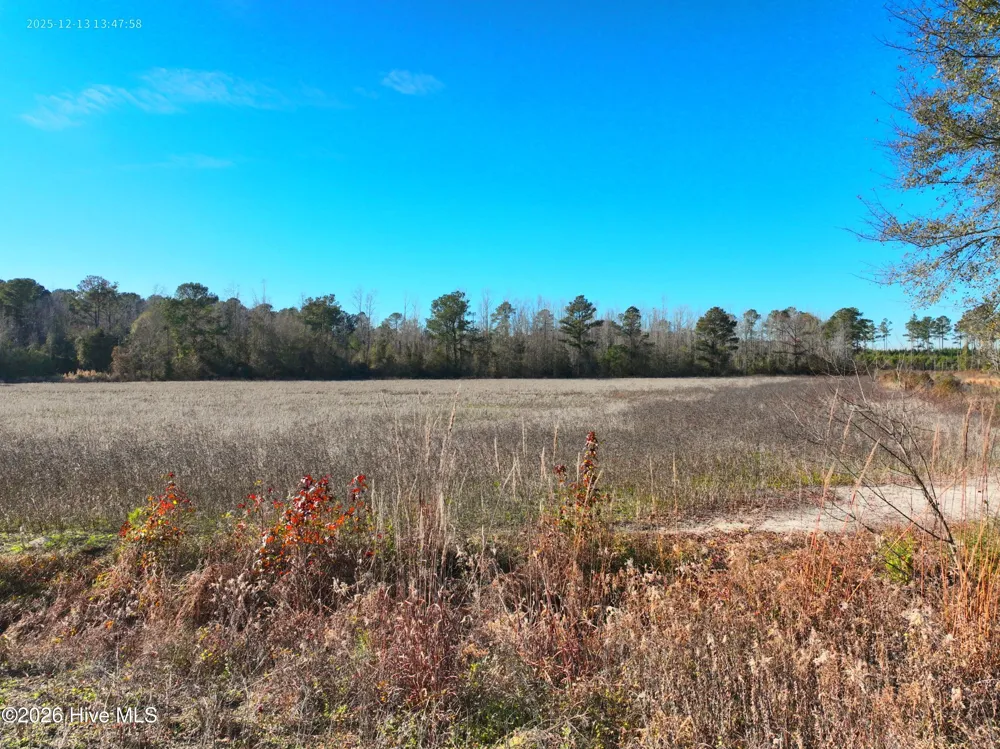 15.63 Croomsbridge Road Burgaw, NC 28425