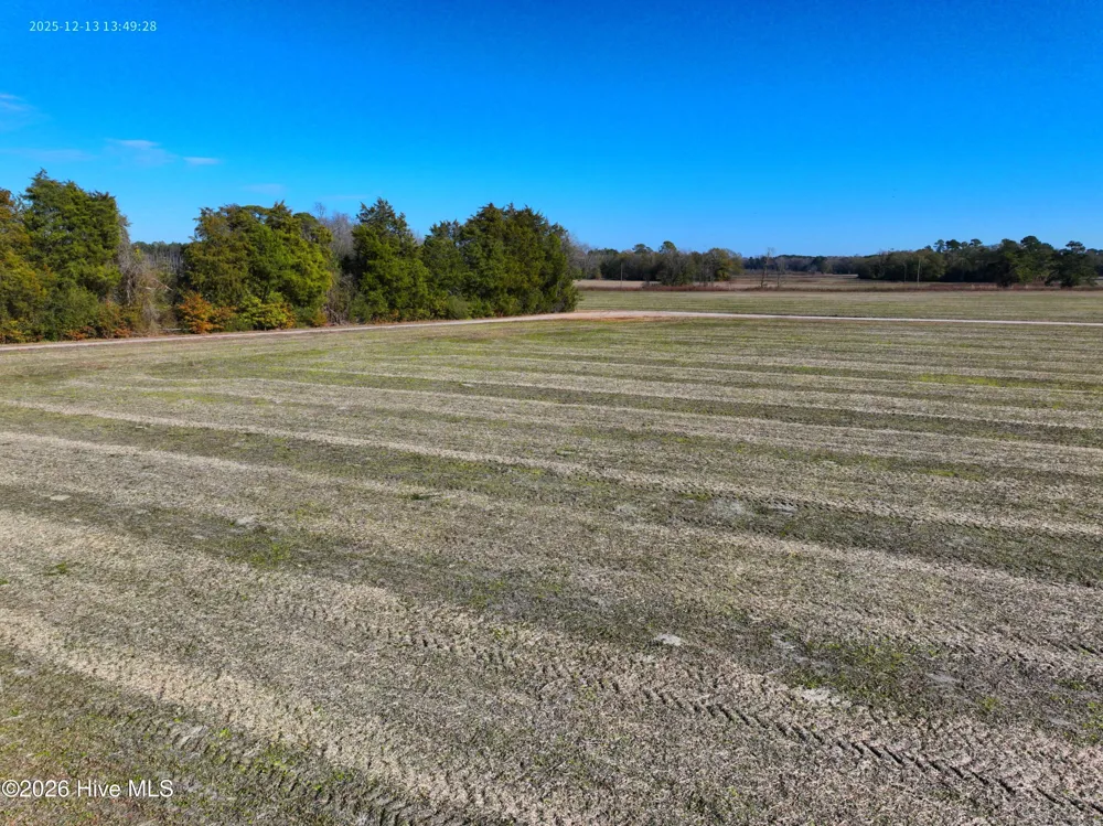 15.63 Croomsbridge Road Burgaw, NC 28425