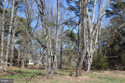 134 NEPTUNE DRIVE