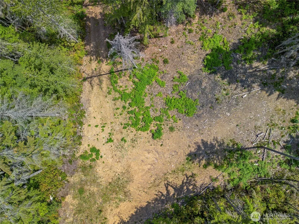 905 NE Tahuya Blacksmith Road Tahuya, WA 98588