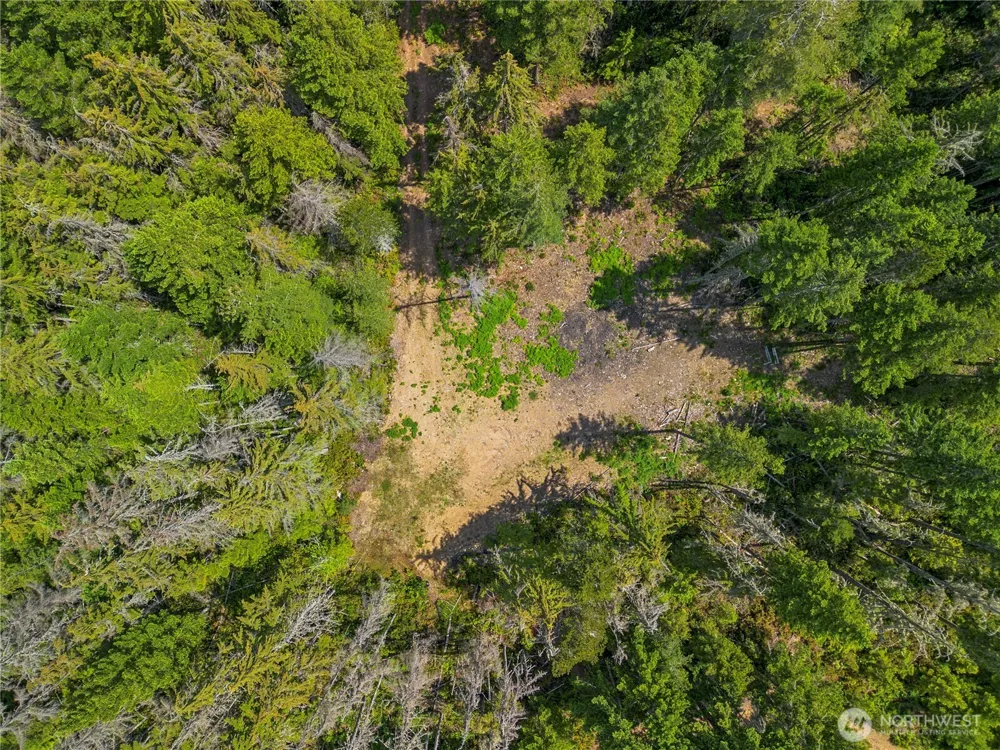 905 NE Tahuya Blacksmith Road Tahuya, WA 98588