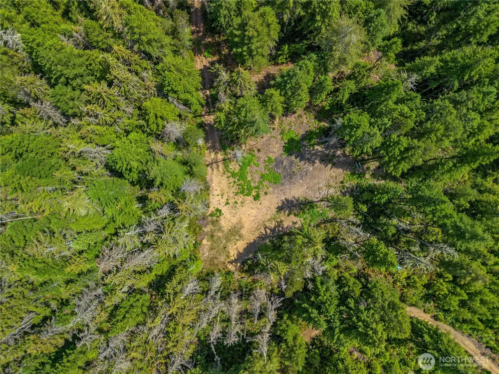 905 NE Tahuya Blacksmith Road Tahuya, WA 98588