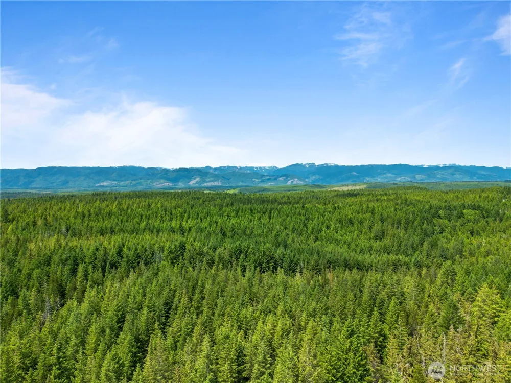 905 NE Tahuya Blacksmith Road Tahuya, WA 98588
