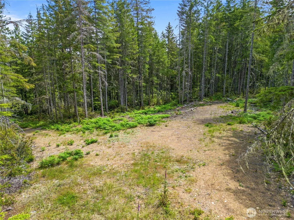 905 NE Tahuya Blacksmith Road Tahuya, WA 98588