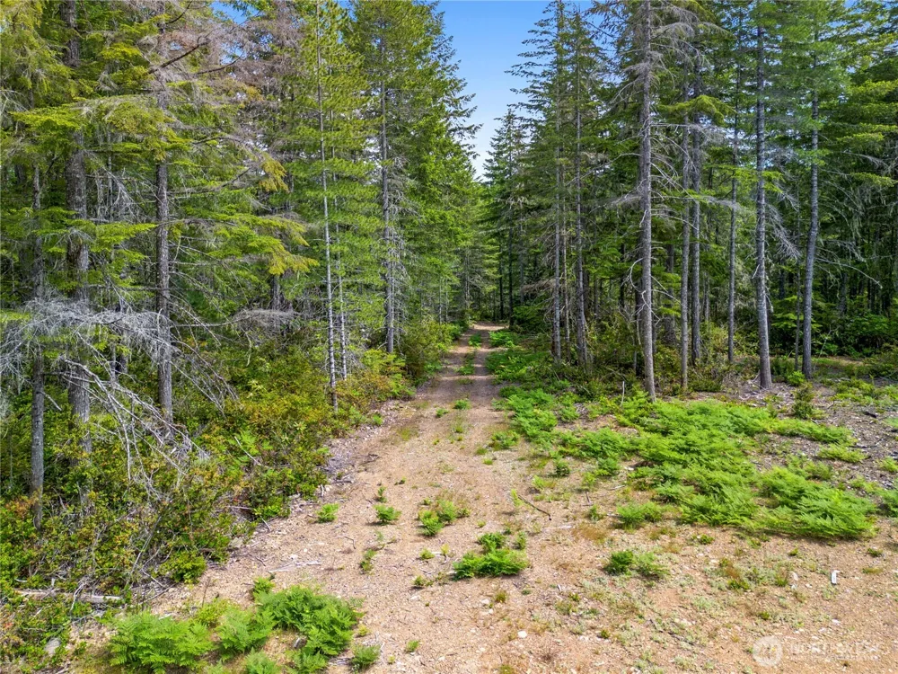 905 NE Tahuya Blacksmith Road Tahuya, WA 98588