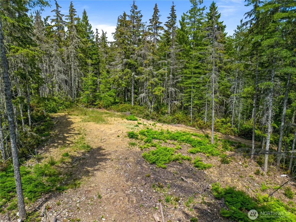 905 NE Tahuya Blacksmith Road Tahuya, WA 98588