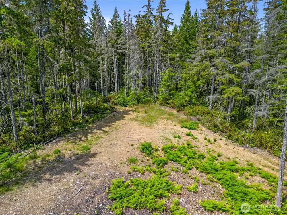 905 NE Tahuya Blacksmith Road Tahuya, WA 98588