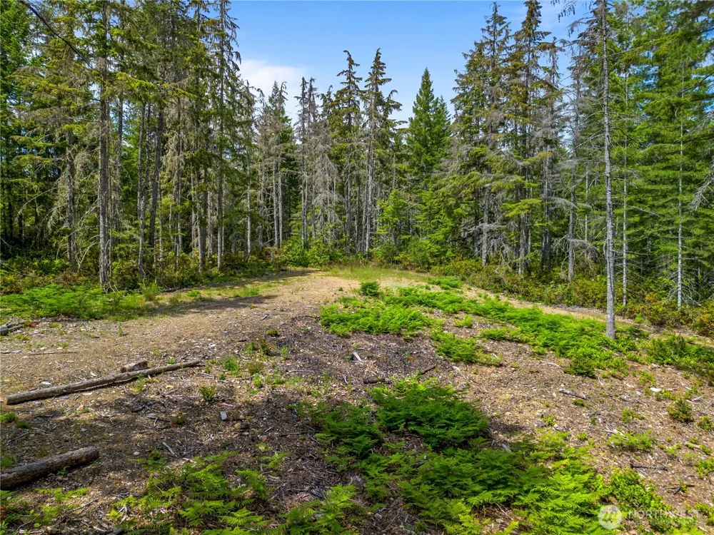 905 NE Tahuya Blacksmith Road Tahuya, WA 98588