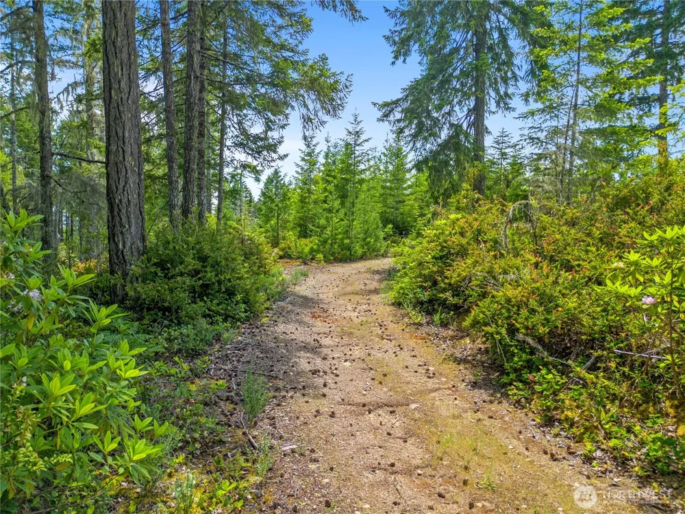 905 NE Tahuya Blacksmith Road Tahuya, WA 98588