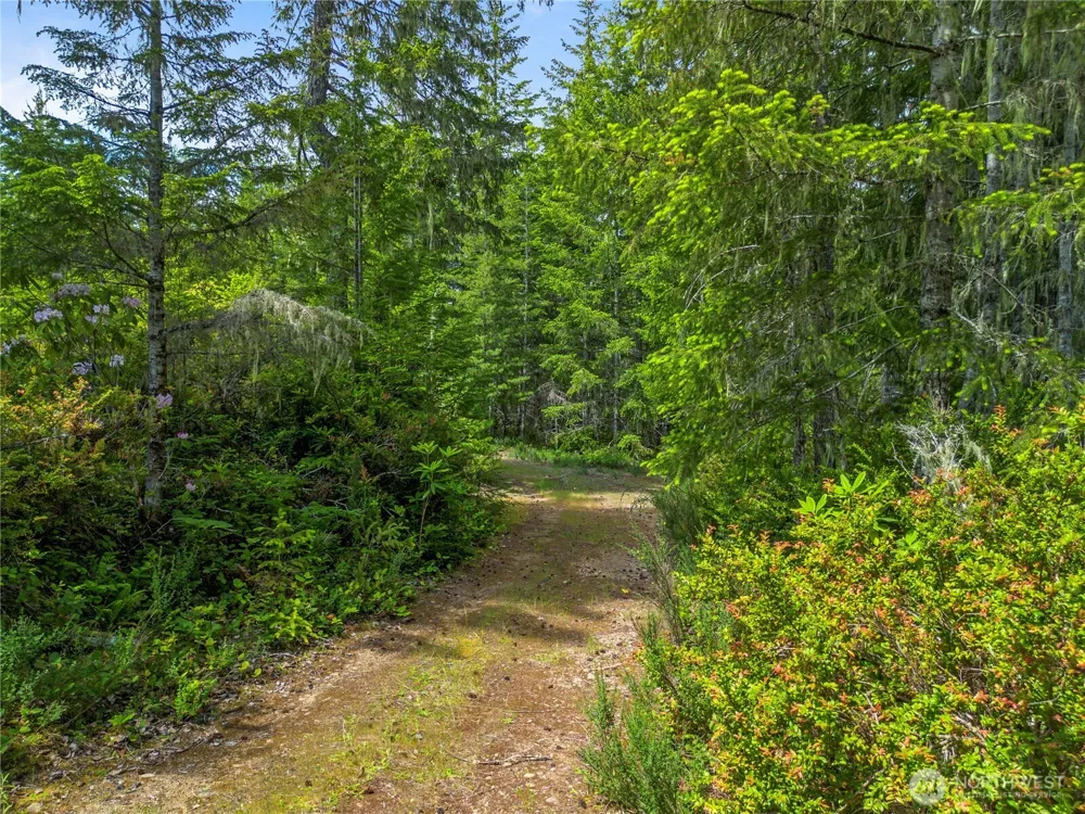 905 NE Tahuya Blacksmith Road Tahuya, WA 98588