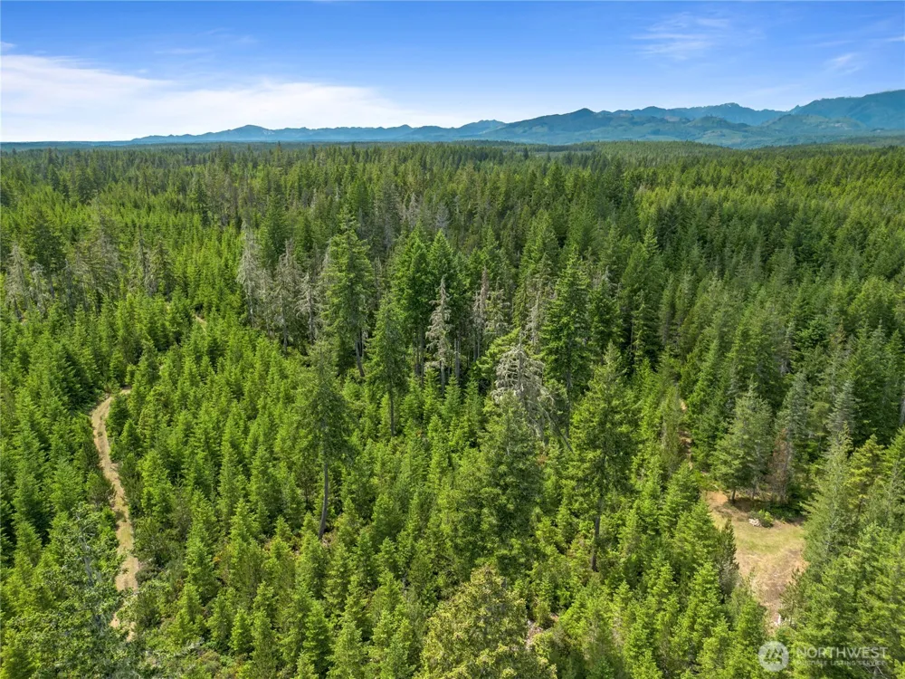 905 NE Tahuya Blacksmith Road Tahuya, WA 98588