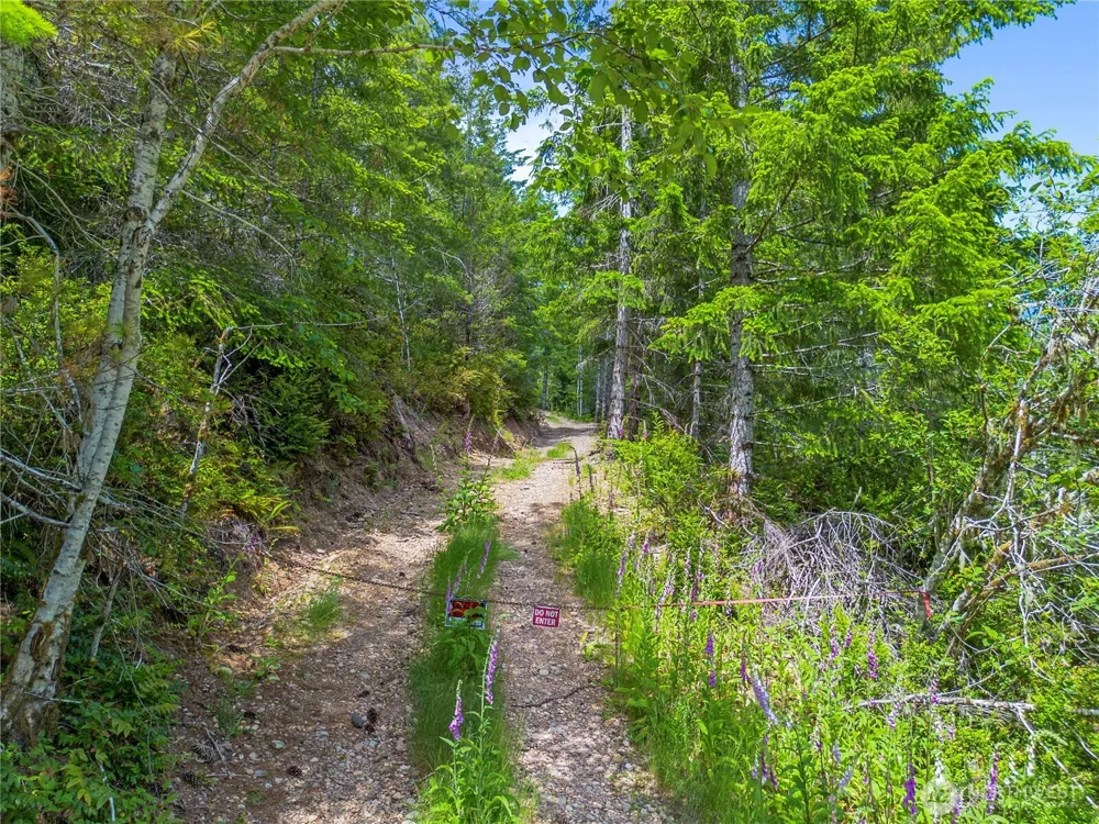 905 NE Tahuya Blacksmith Road Tahuya, WA 98588