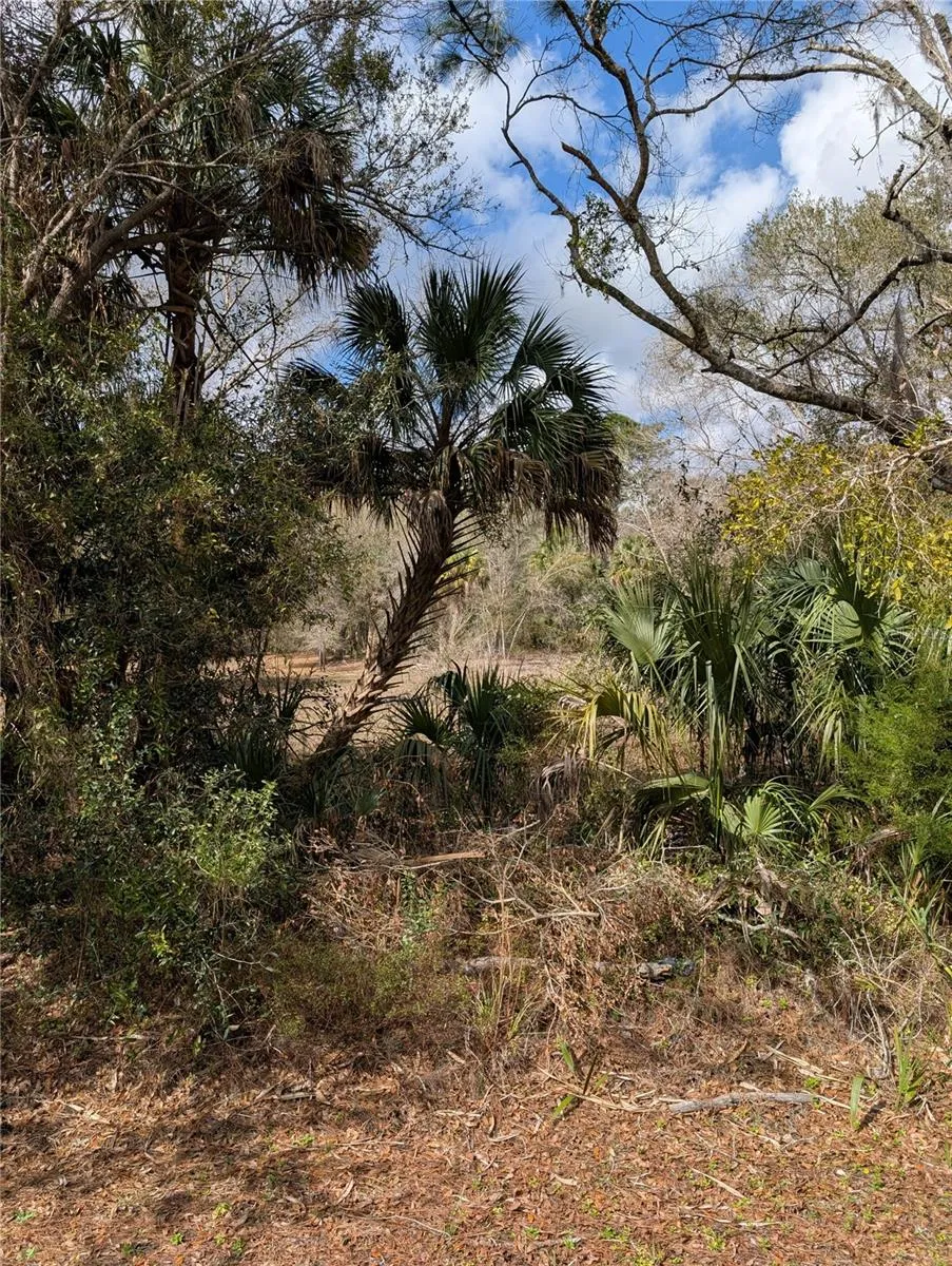 LORIE STREET Inglis, FL 34449