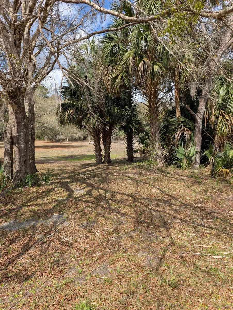 LORIE STREET Inglis, FL 34449