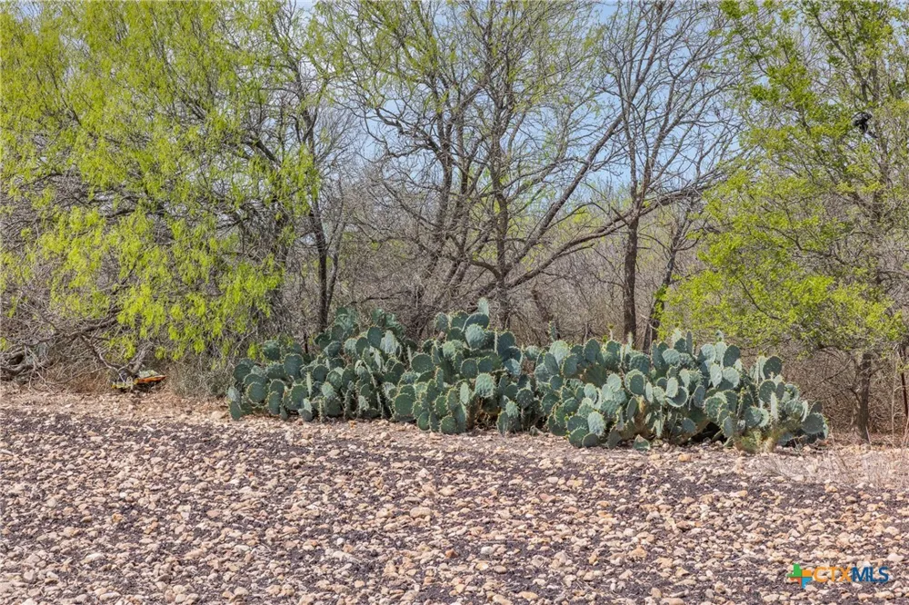 5340 Dreibrodt San Marcos, TX 78666