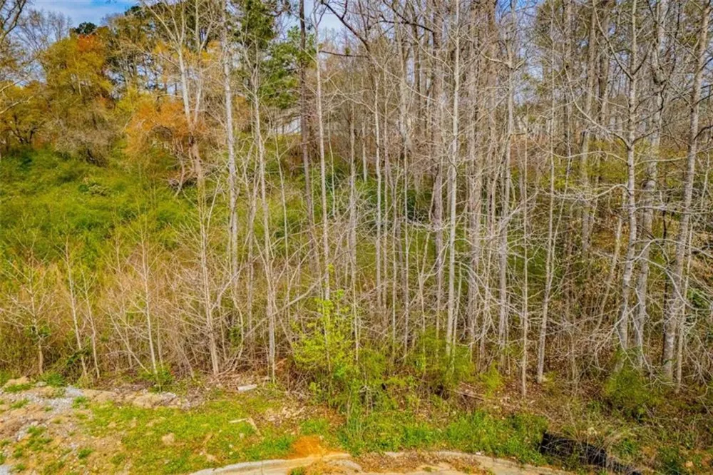 138 Deer Crossing Temple, GA 30179