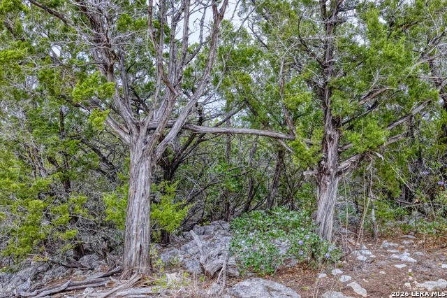 9600 Ranch Road 336 Leakey, TX 78873