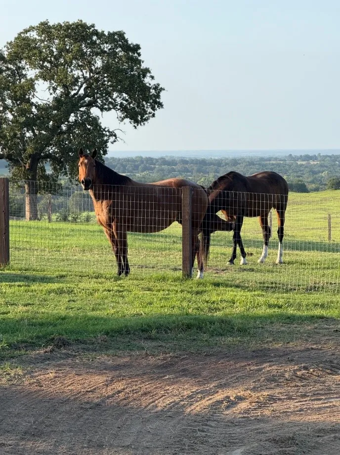4067 CR 414 St Jo, TX 76265
