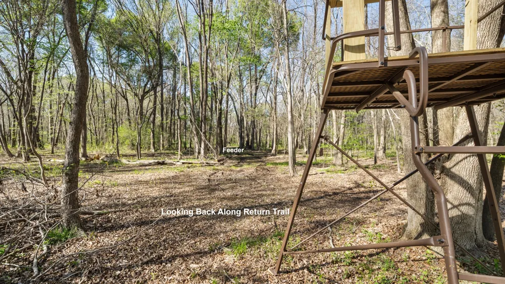 County Road 462 Mineola, TX 75773