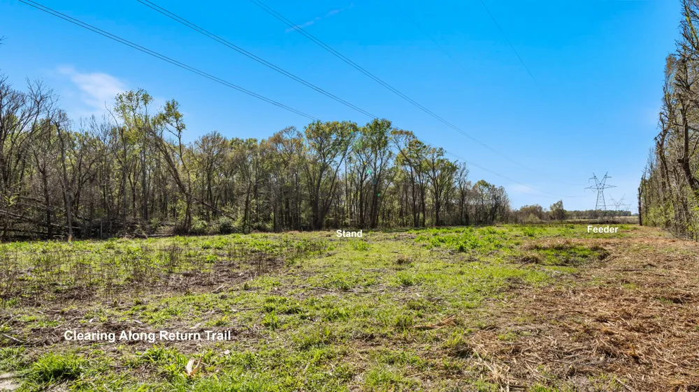 County Road 462 Mineola, TX 75773