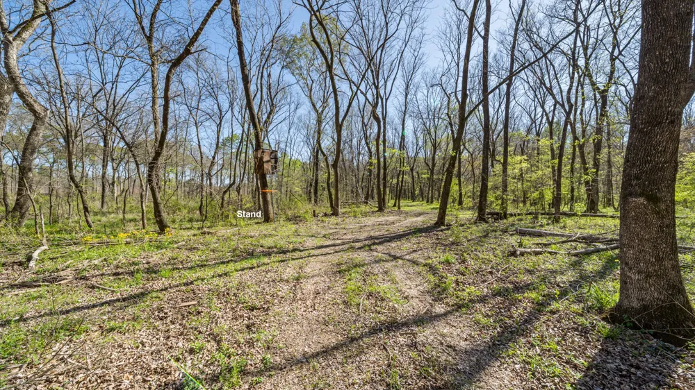 County Road 462 Mineola, TX 75773
