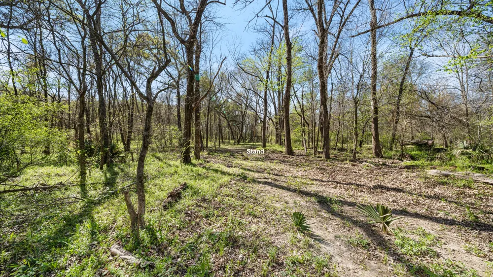 County Road 462 Mineola, TX 75773