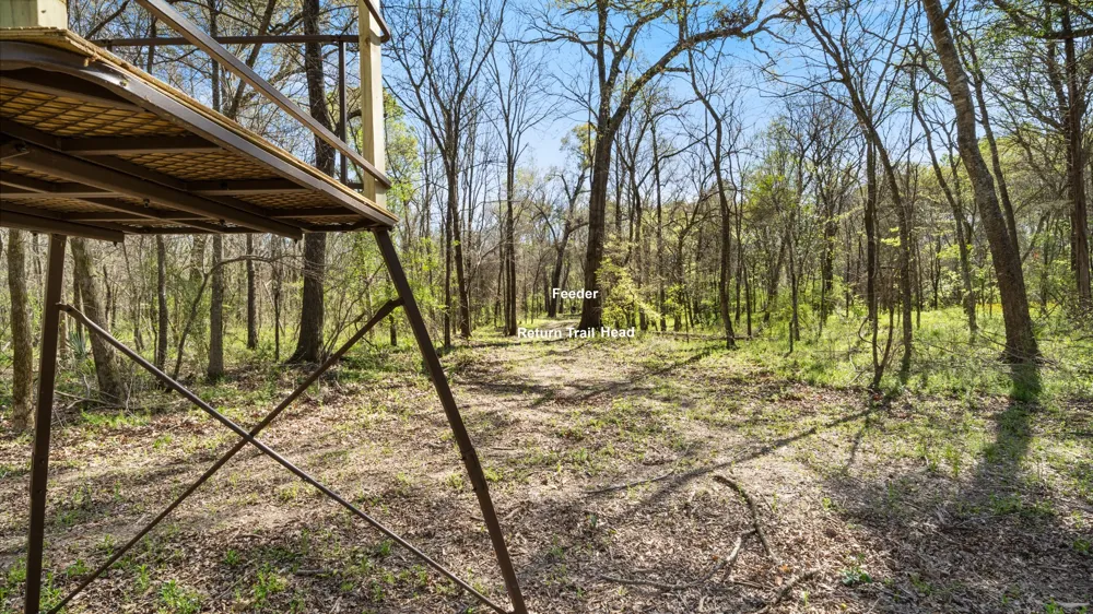 County Road 462 Mineola, TX 75773