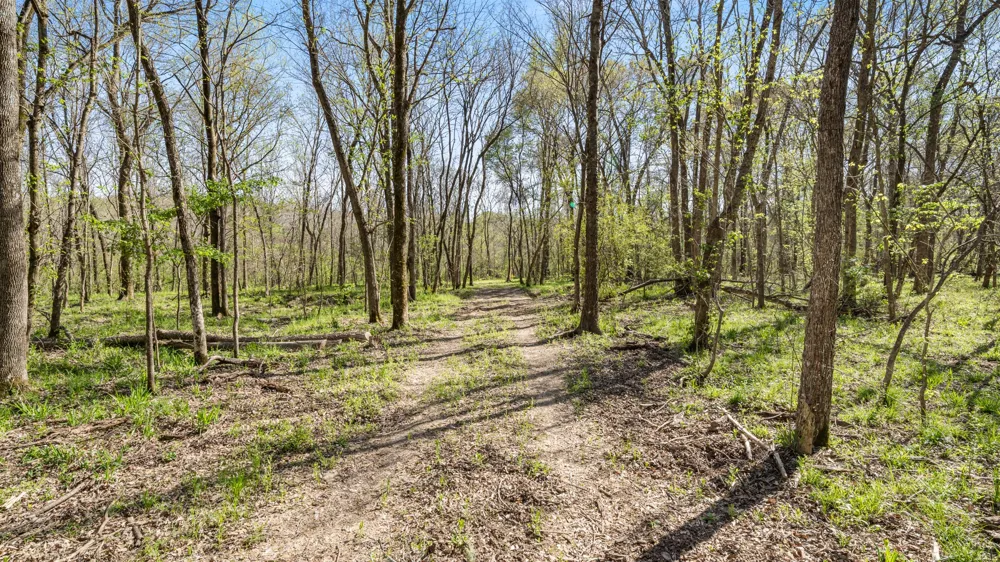 County Road 462 Mineola, TX 75773