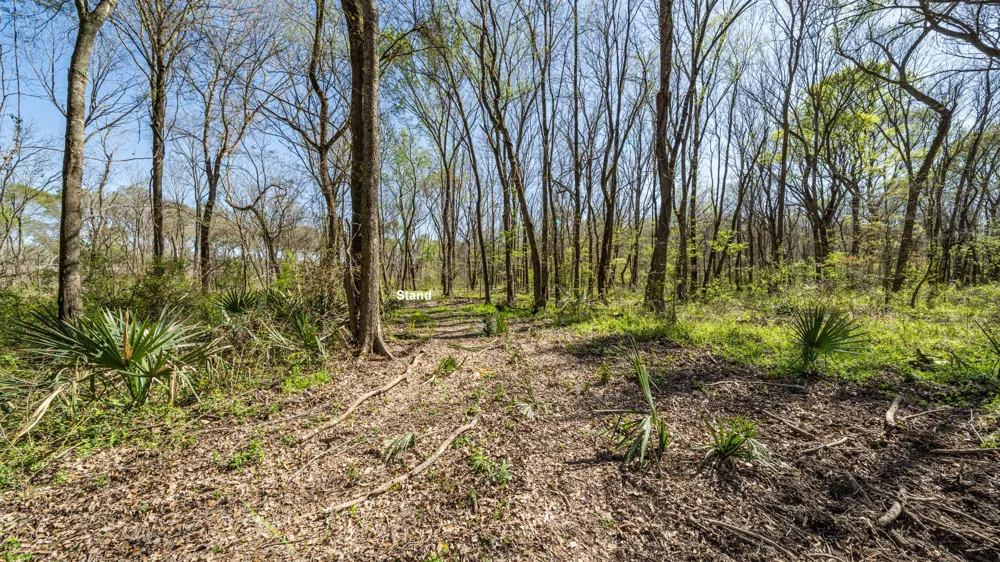 County Road 462 Mineola, TX 75773